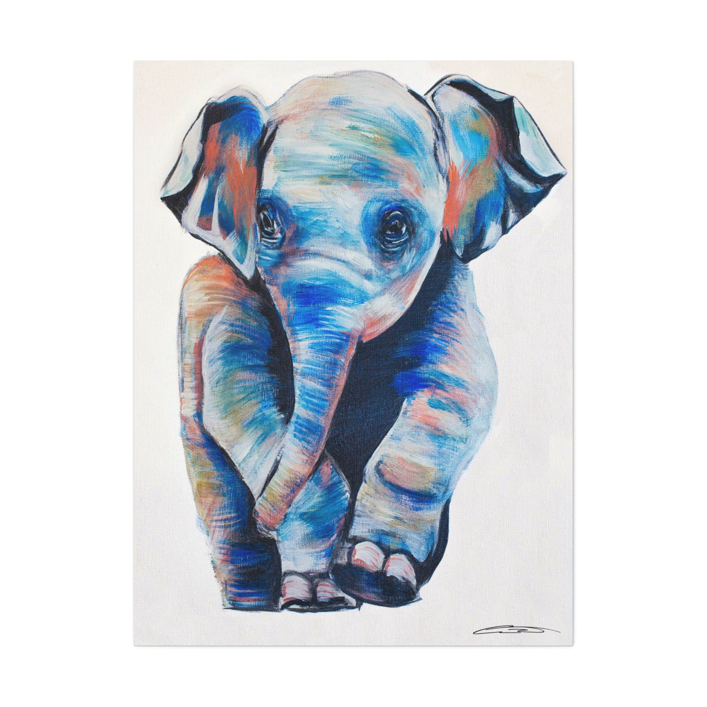 Baby Elephant