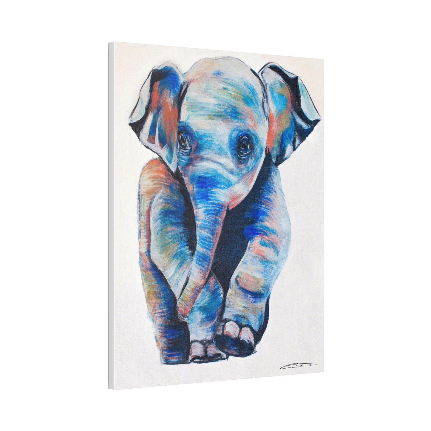 Baby Elephant
