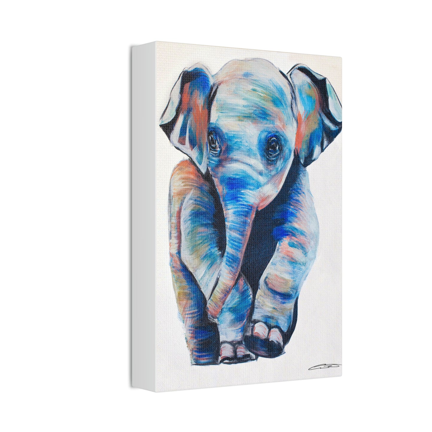 Baby Elephant