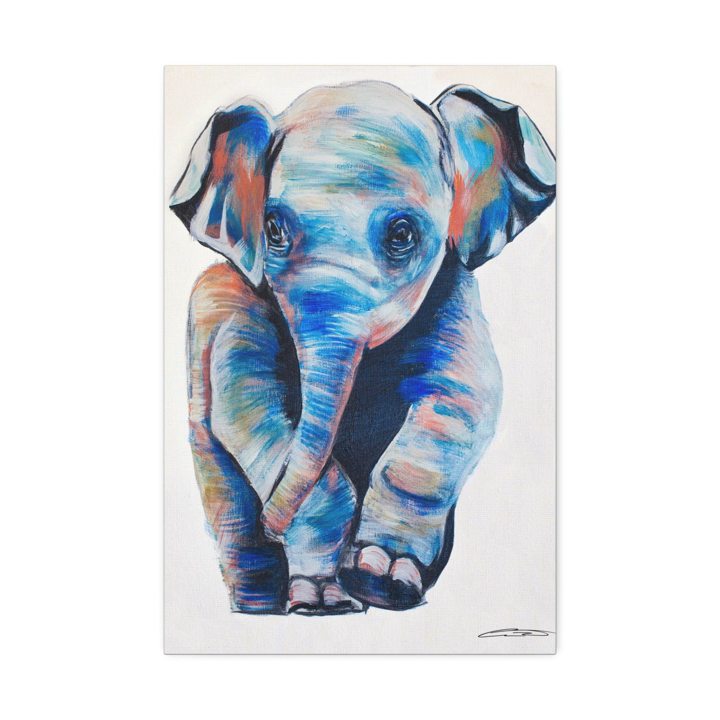 Baby Elephant