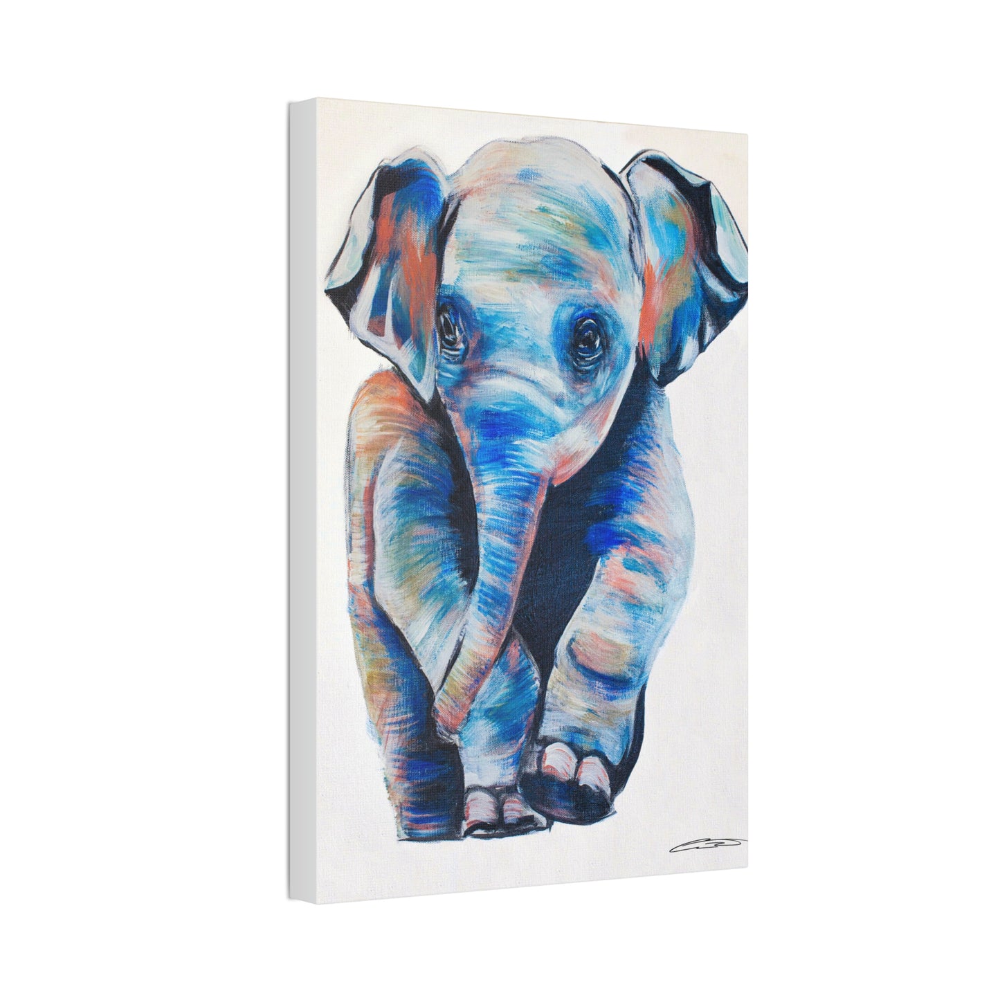 Baby Elephant