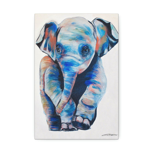 Baby Elephant