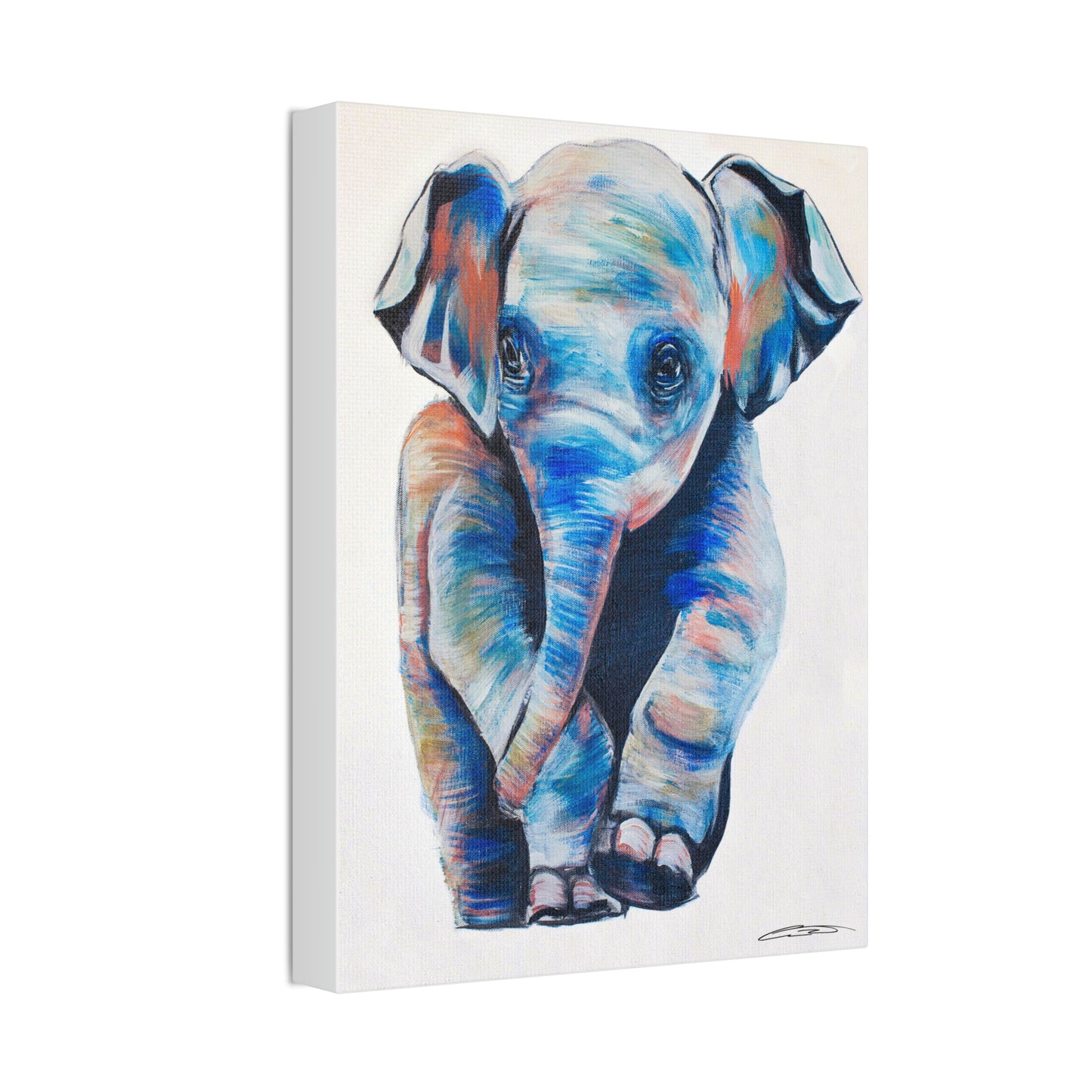 Baby Elephant